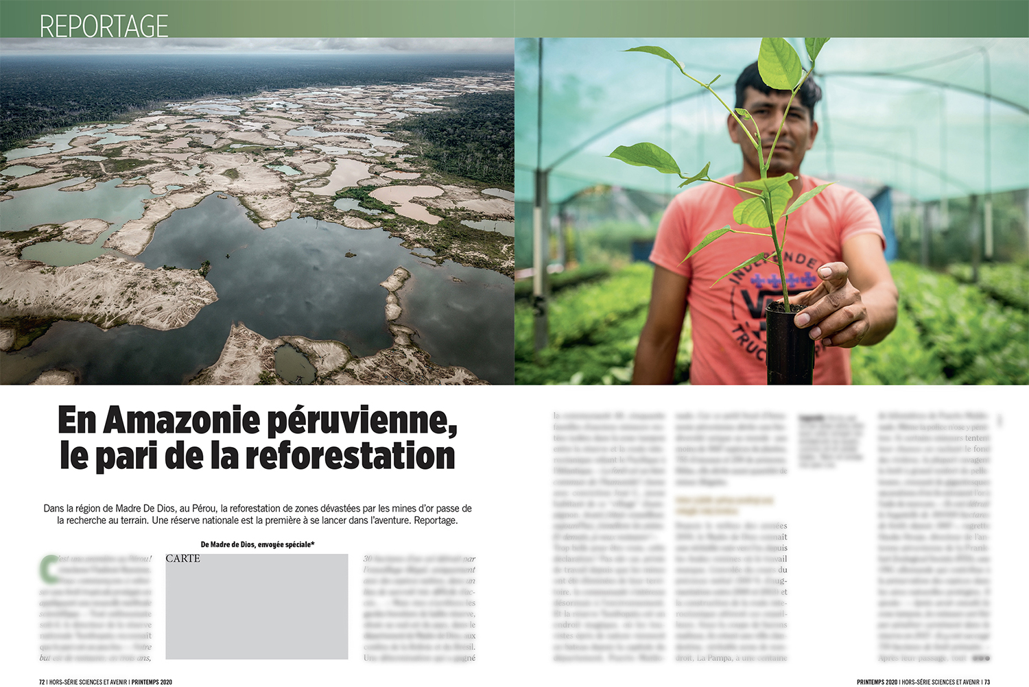 En Amazonie péruvienne, le pari de la reforestation