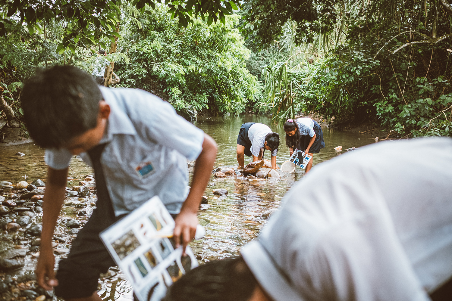 Les gardiens de l'eau